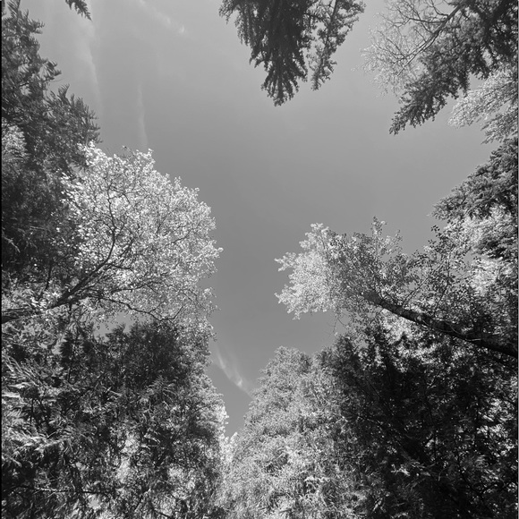 Meet your Posher, K’s - Picture 1 of 1